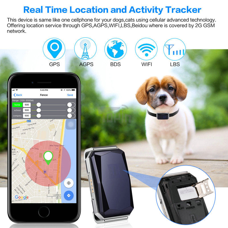 localizzatore gps per animali