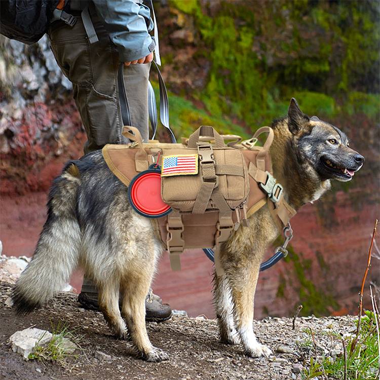 gilet tattico da combattimento per cani