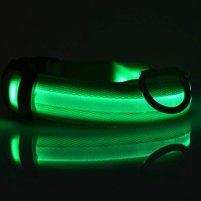 Collare luminoso led