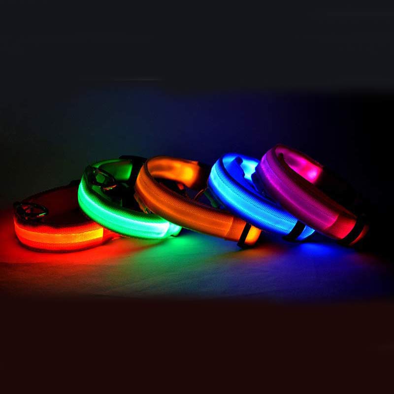 Collare luminoso led