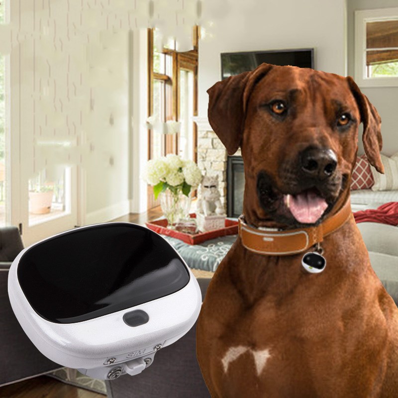 Mini localizzatore anti-smarrimento per animali