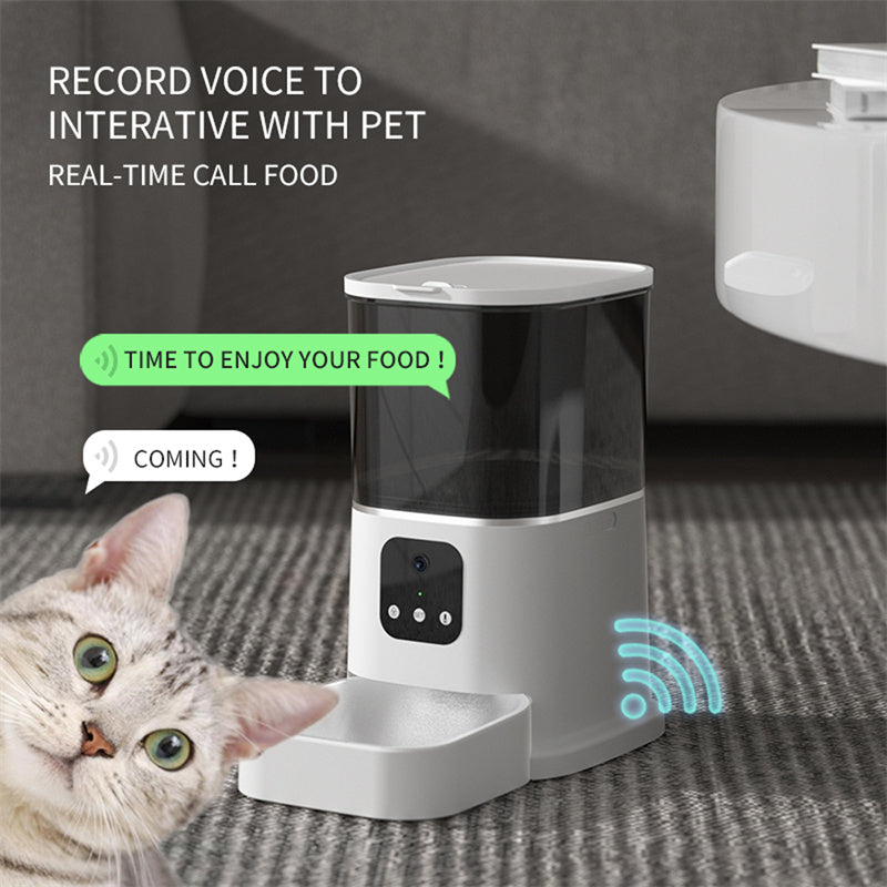 Distributore Automatico di Cibo Smart per Gatti