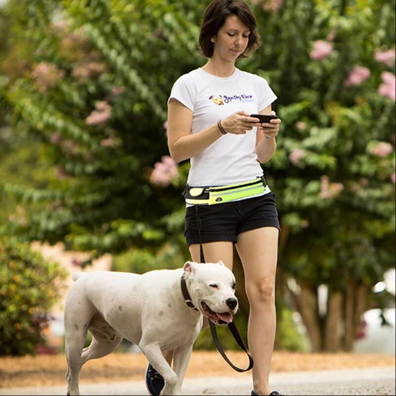 Guinzaglio per cani a mani libere con cintura per passeggiate e addestramento