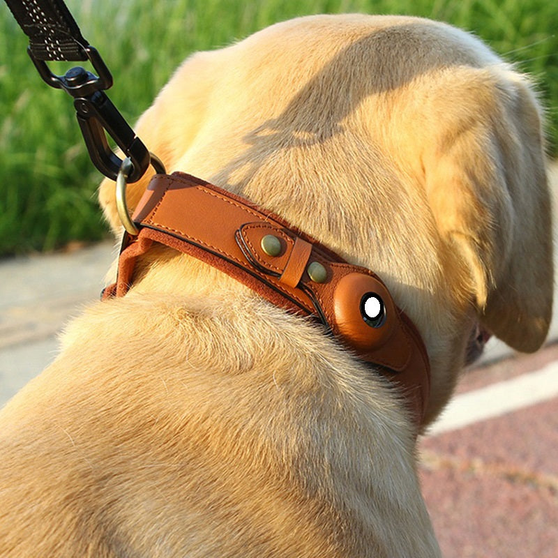 collare in pelle con localizzatore gps