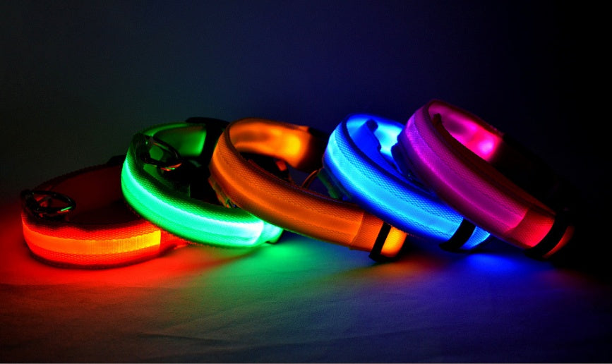 Collare luminoso led