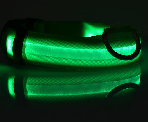 Collare luminoso led