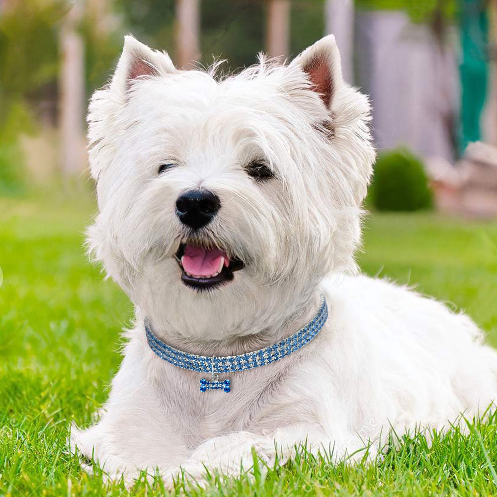 Collare per cani con cristalli