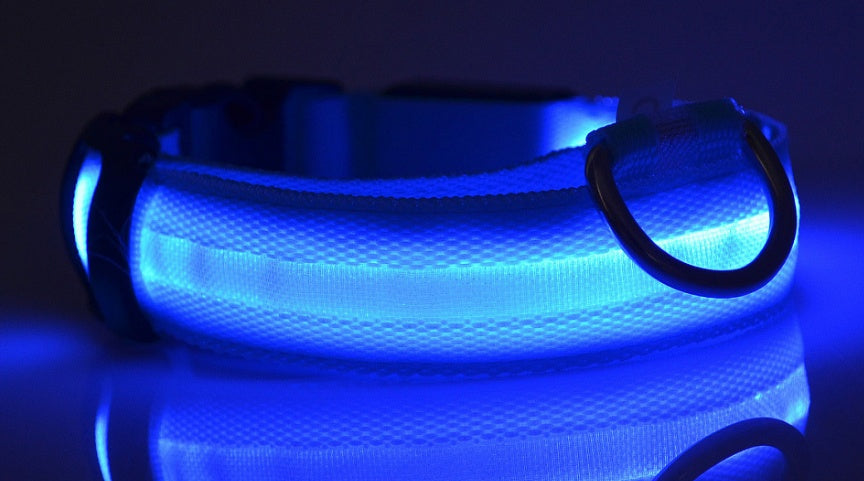 Collare luminoso led