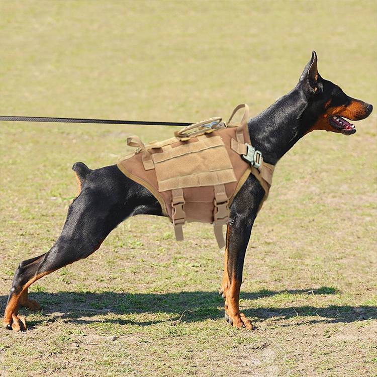 gilet tattico da combattimento per cani